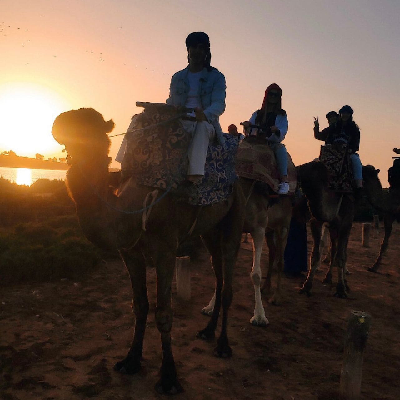 image-Agadir or Taghazout Camel & Horse Riding with Barbecue