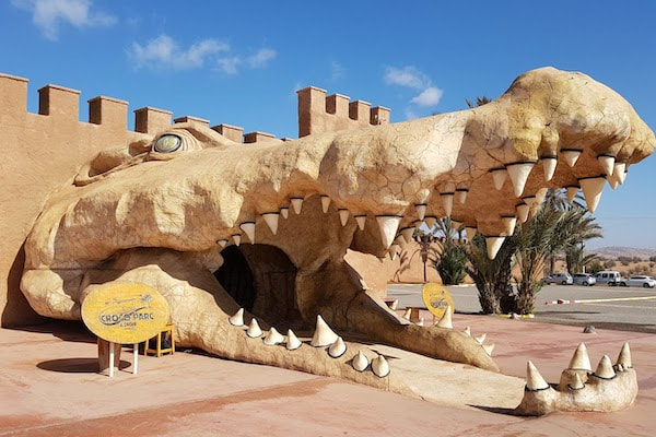 Crocoparc Tour from Agadir