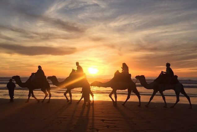 Barbecue Camel Ride from Agadir
