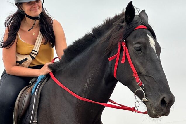 Horse Ride Adventure from Agadir