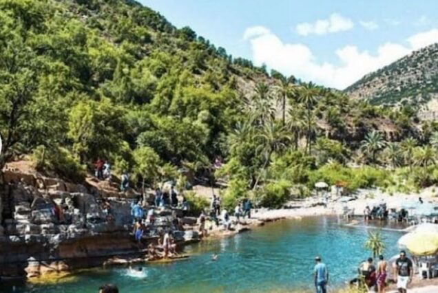 Paradise Valley half day with guide